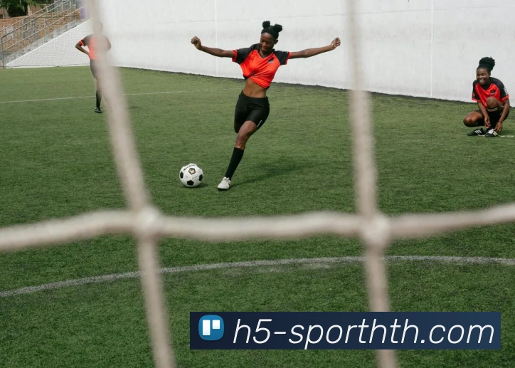 华体会体育平台生态图